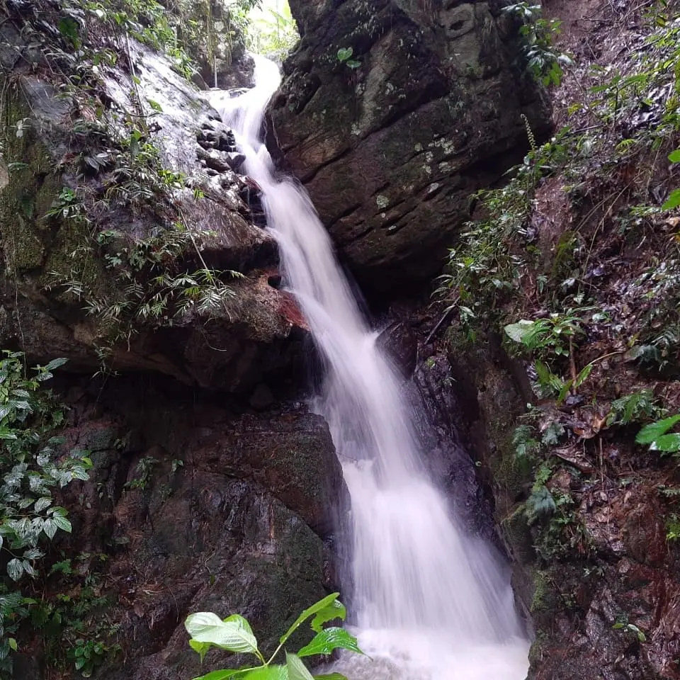 Ibague, Ibagué, Tolima, Colombia 3